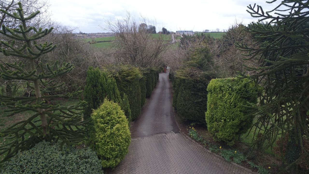 Pinewood Lodge Guest House Omagh Esterno foto